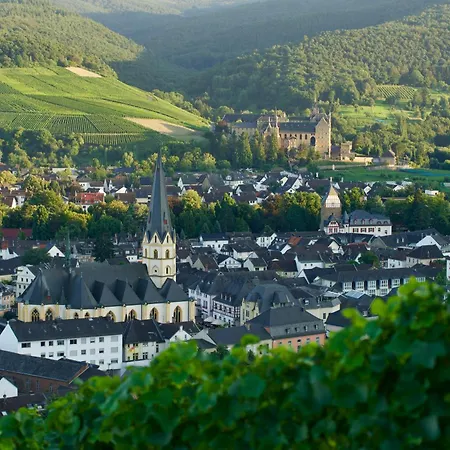 „im Tal Der Roten Traube“ Appartement Bad Neuenahr-Ahrweiler