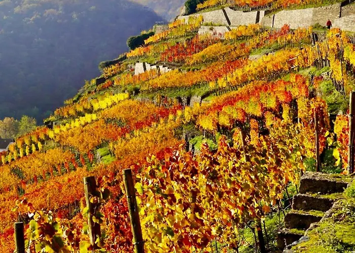 Fewo „Im Tal Der Roten Traube“ * Bad Neuenahr-Ahrweiler
